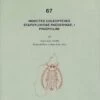Faune De Madagascar: Fasc. 67 - Insectes: Coléoptères, Staphylinidae 1 Faune De Madagascar: Fasc. 67 - Insectes: Coléoptères, Staphylinidae -Wildlife Professional Books 59170