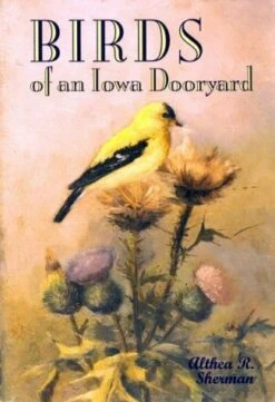 Birds Of An Iowa Dooryard