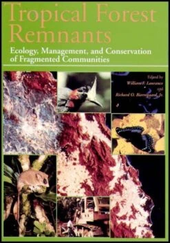 Tropical Forest Remnants