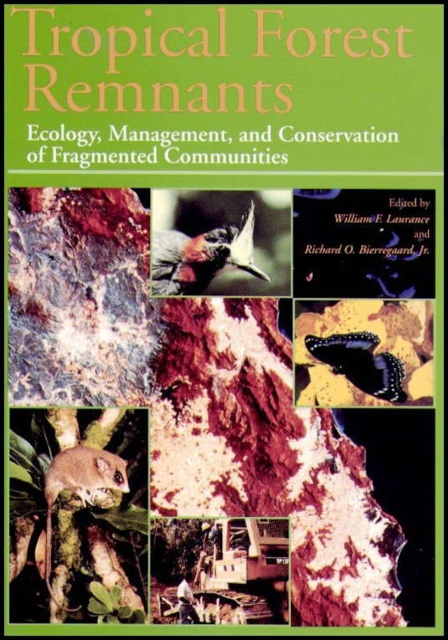 Tropical Forest Remnants 3 Tropical Forest Remnants