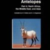 Antelopes: Global Survey And Regional Action Plans - Part 4 1 Antelopes: Global Survey And Regional Action Plans - Part 4 -Wildlife Professional Books 6646