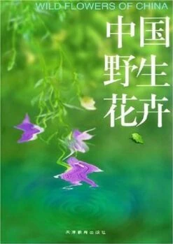 Wild Flowers Of China