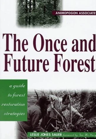 The Once And Future Forest 3 The Once And Future Forest