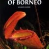 Nepenthes Of Borneo -Wildlife Professional Books 71062