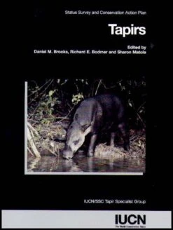 Tapirs