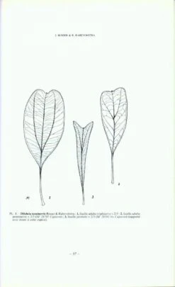 Flore De Madagascar Et Des Comores, Fam. 45 -Wildlife Professional Books 77577 3