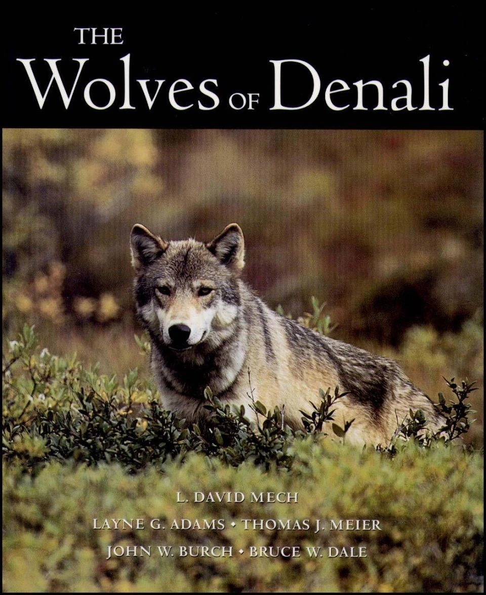 The Wolves Of Denali 4 The Wolves Of Denali - Image 2