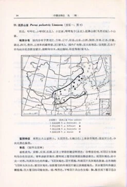 Fauna Sinica: Aves, Volume 13: Passeriformes: Paridae - Zosteropidae [Chinese] -Wildlife Professional Books 81739 2