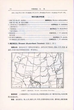 Fauna Sinica: Aves, Volume 13: Passeriformes: Paridae - Zosteropidae [Chinese] -Wildlife Professional Books 81739 4