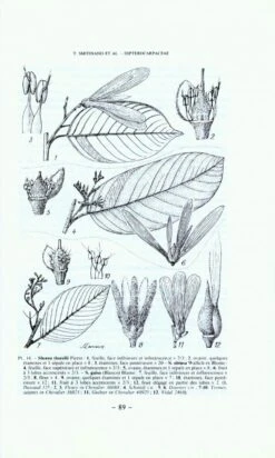 Flore Du Cambodge, Du Laos Et Du Viêtnam, Volume 24 -Wildlife Professional Books 8247 3