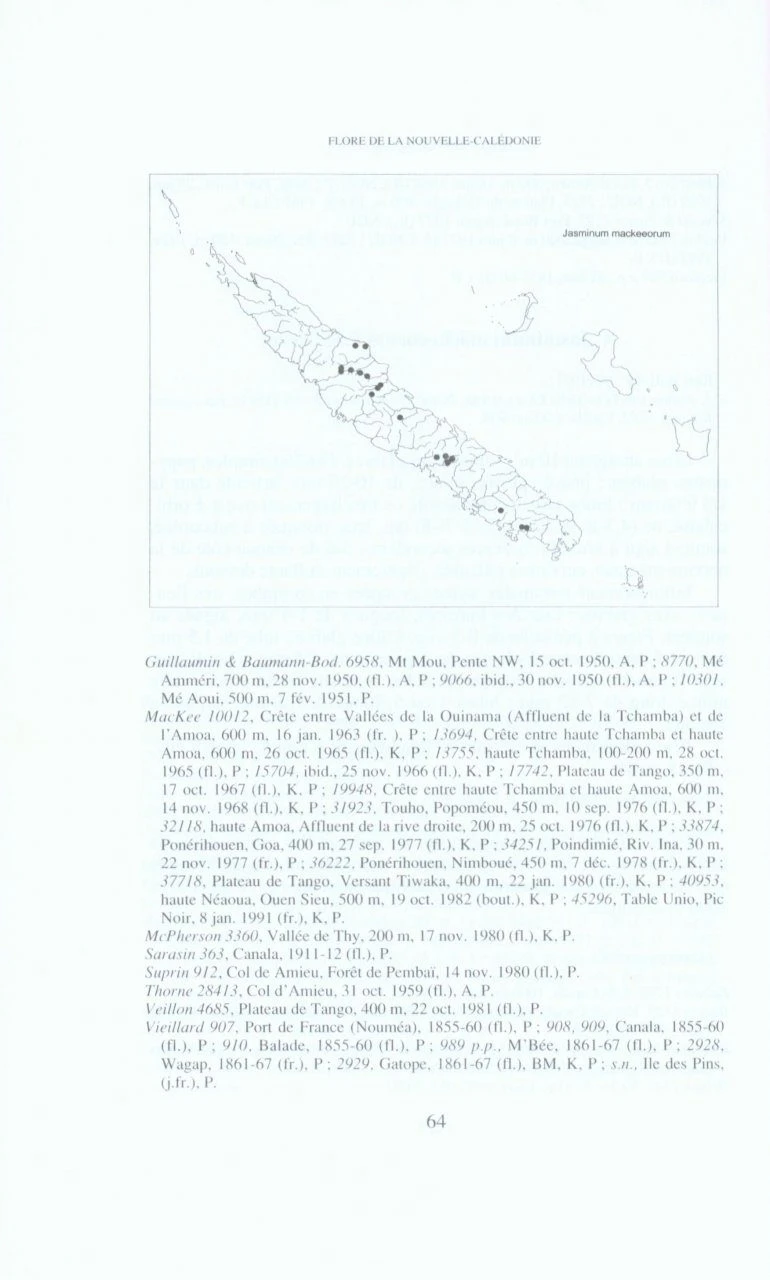 Flore De La Nouvelle-Calédonie Et Dépendances, Volume 22: Menispermaceae, Oleaceae, Passifloraceae 5 Flore De La Nouvelle-Calédonie Et Dépendances, Volume 22: Menispermaceae, Oleaceae, Passifloraceae - Image 3