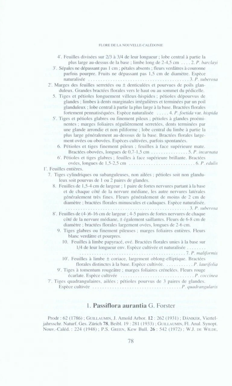 Flore De La Nouvelle-Calédonie Et Dépendances, Volume 22: Menispermaceae, Oleaceae, Passifloraceae 6 Flore De La Nouvelle-Calédonie Et Dépendances, Volume 22: Menispermaceae, Oleaceae, Passifloraceae - Image 4