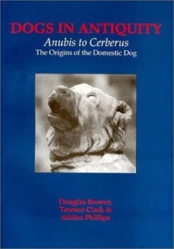 Dogs In Antiquity