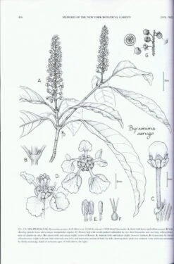 Guide To The Vascular Plants Of Central French Guiana, Part 2: Dicotyledons -Wildlife Professional Books 97401 4