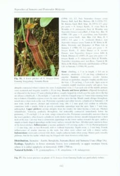 Nepenthes Of Sumatra And Peninsular Malaysia 11 Nepenthes Of Sumatra And Peninsular Malaysia -Wildlife Professional Books 98687 3