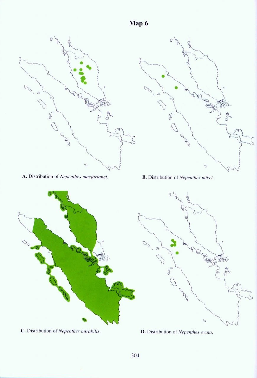 Nepenthes Of Sumatra And Peninsular Malaysia 8 Nepenthes Of Sumatra And Peninsular Malaysia - Image 6